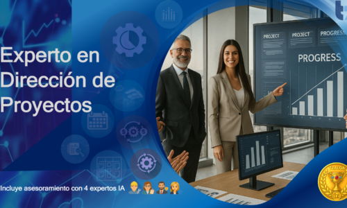 Experto en Dirección de Proyectos